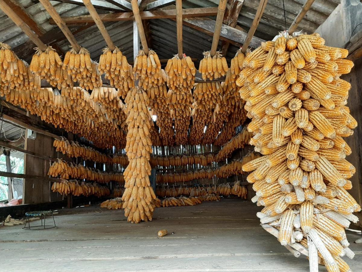 Dong Suoi H'Mong Homestay & Bungalow - Trek & Vegetarian Food Mu Cang Chai Exterior photo