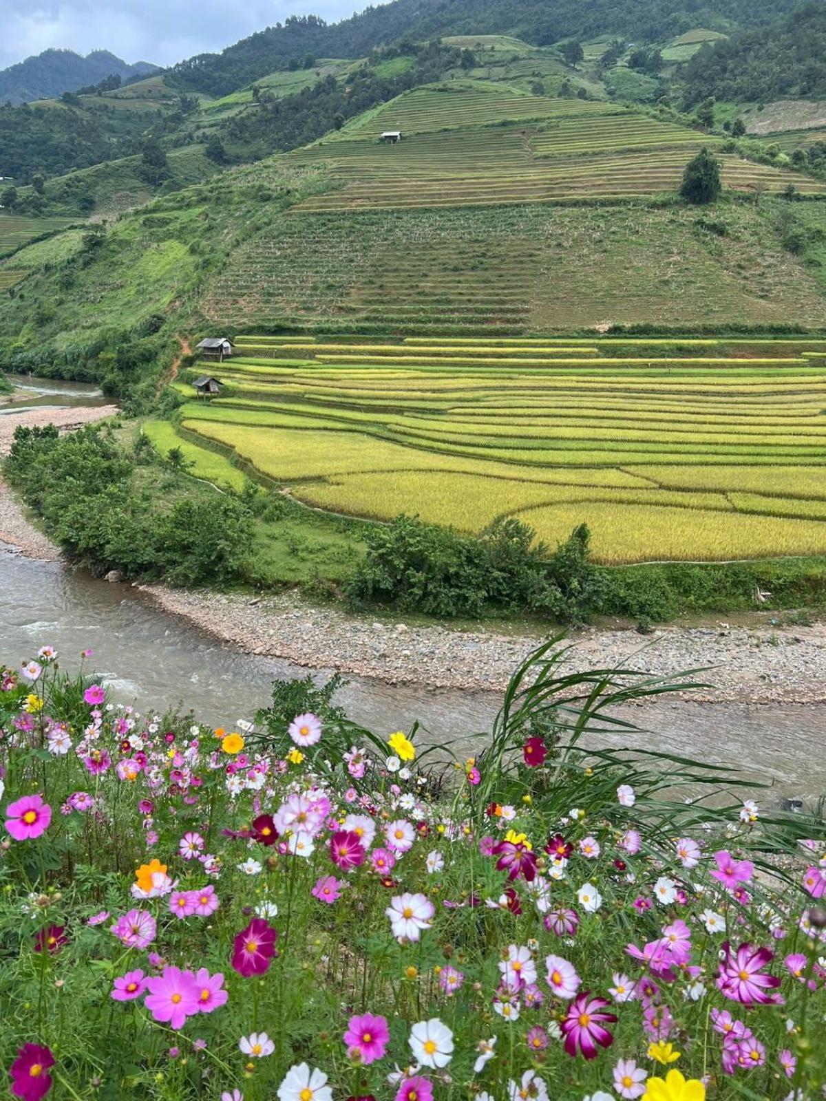 Dong Suoi H'Mong Homestay & Bungalow - Trek & Vegetarian Food Mu Cang Chai Exterior photo